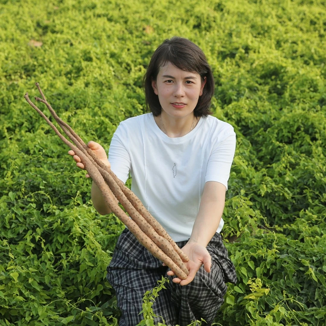 温县铁棍山药(垆土地)3斤装5斤装8斤装【正宗怀山药】特产种植健康