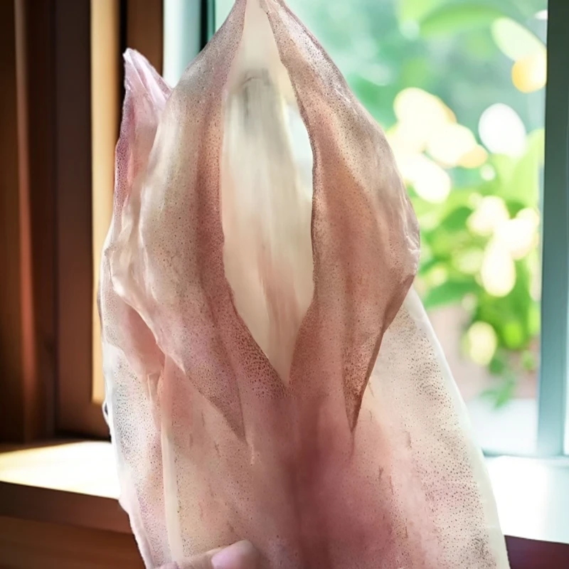 南澳特产本港宅鱿煎炒煮汤烧烤煲粥都美味鱿鱼