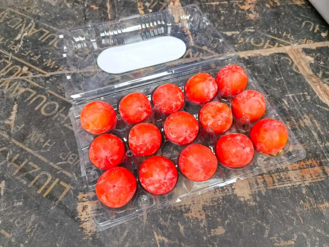 牛奶柿子（酒城中心）