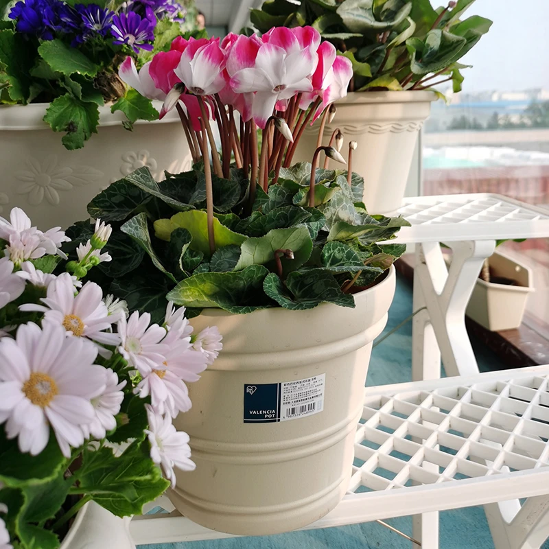 【甄选】爱丽思特大号彩色凸纹种树免托盘大口径深型塑料加厚花盆