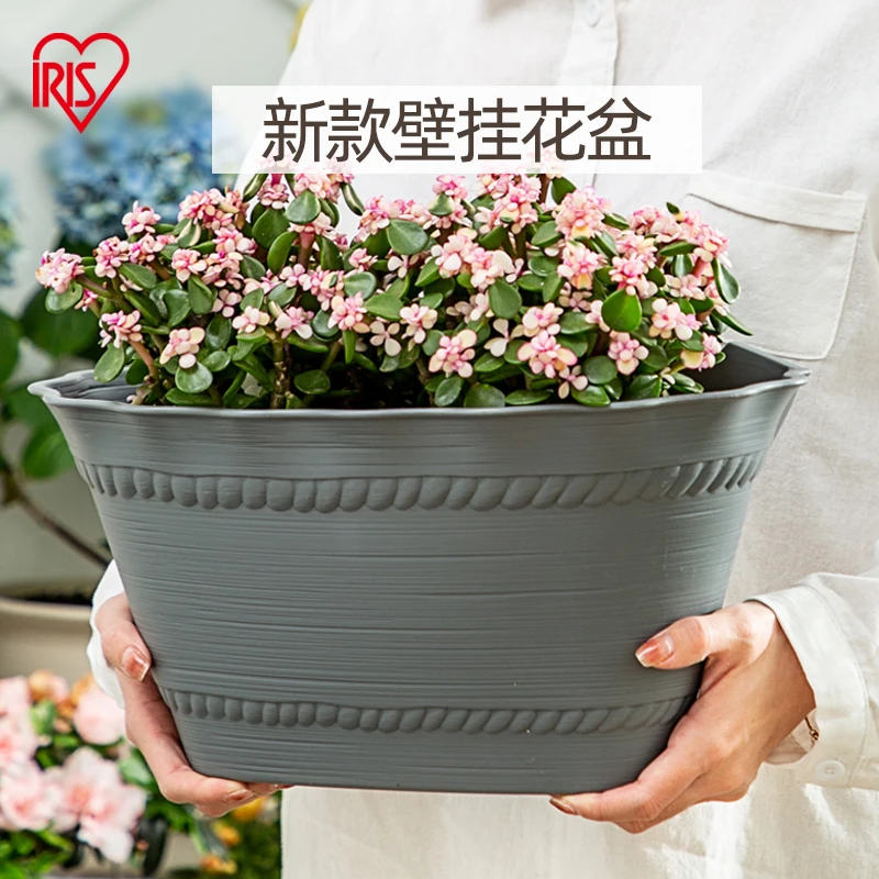 【商城】爱丽思壁挂式彩色花盆 阳台加厚树脂花盆爱丽丝多肉吊兰盆