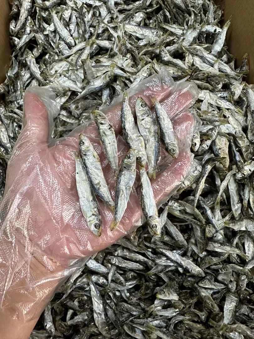 广东潮汕汕尾港带头姑鱼仔青兰鱼仔干 鲜明足干小银鱼鱼干