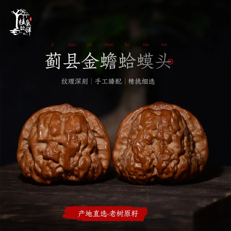 练手蓟县蛤蟆头文玩核桃（多样性发货）