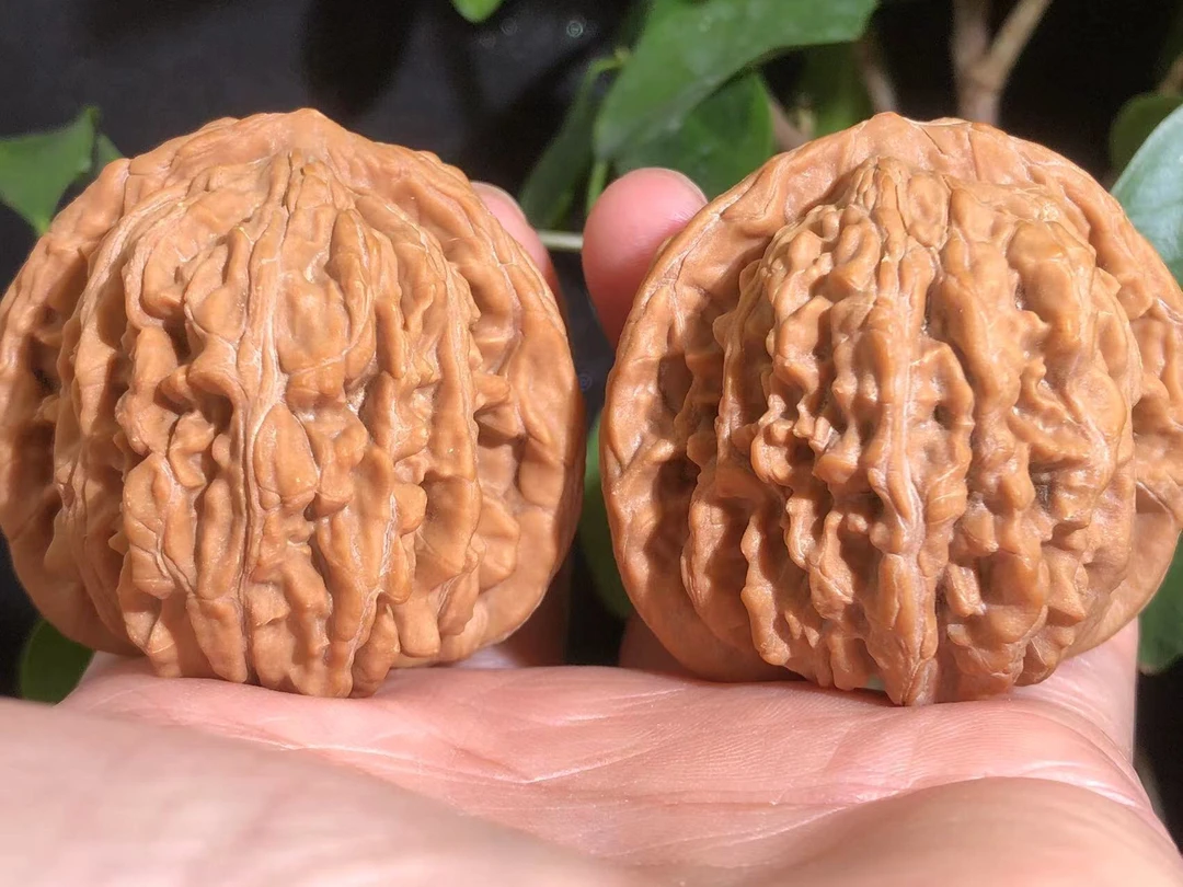 【700严选】平谷四座楼文玩核桃（已打底）