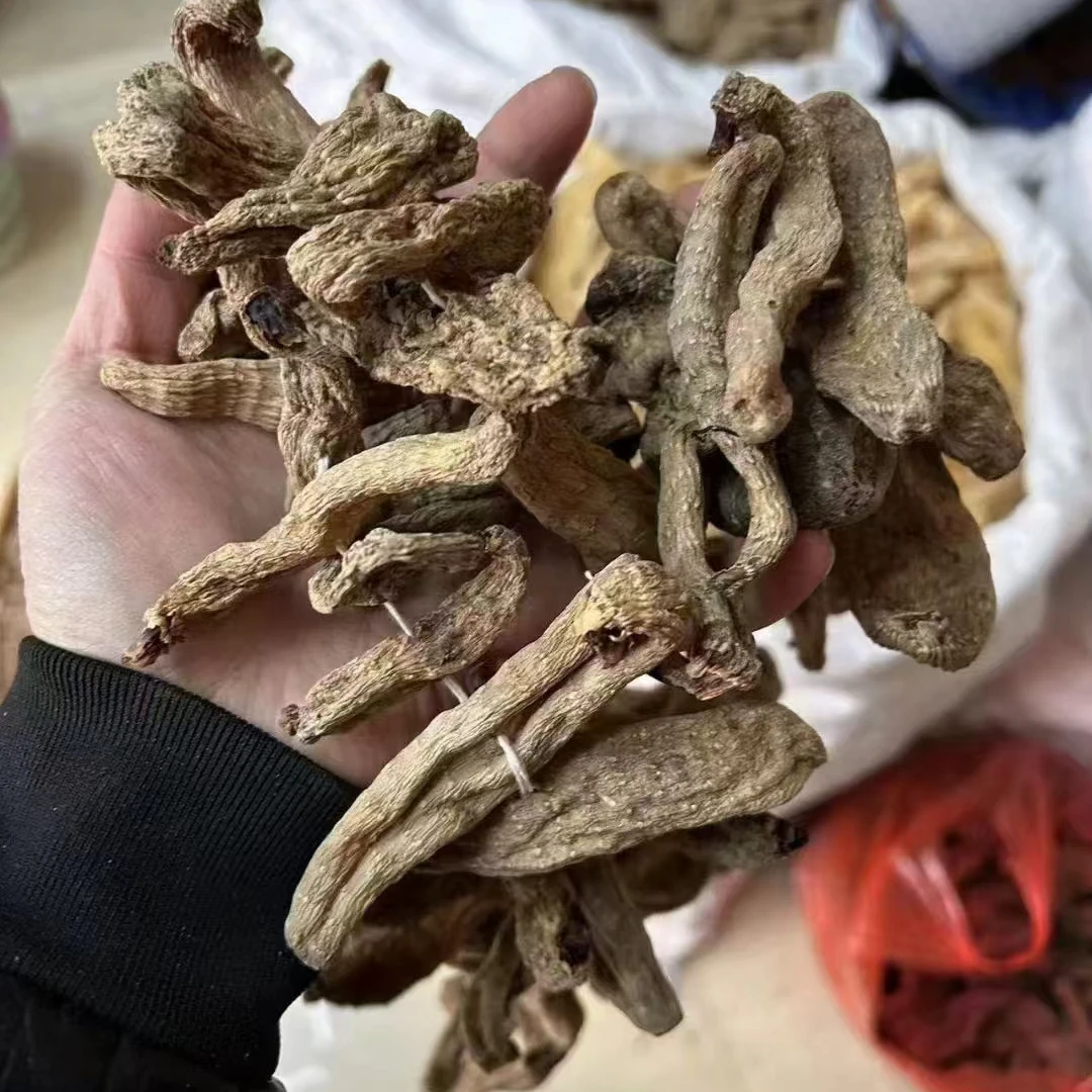 乌天麻串串、串串天麻、山货天麻、有点丑但是好250g