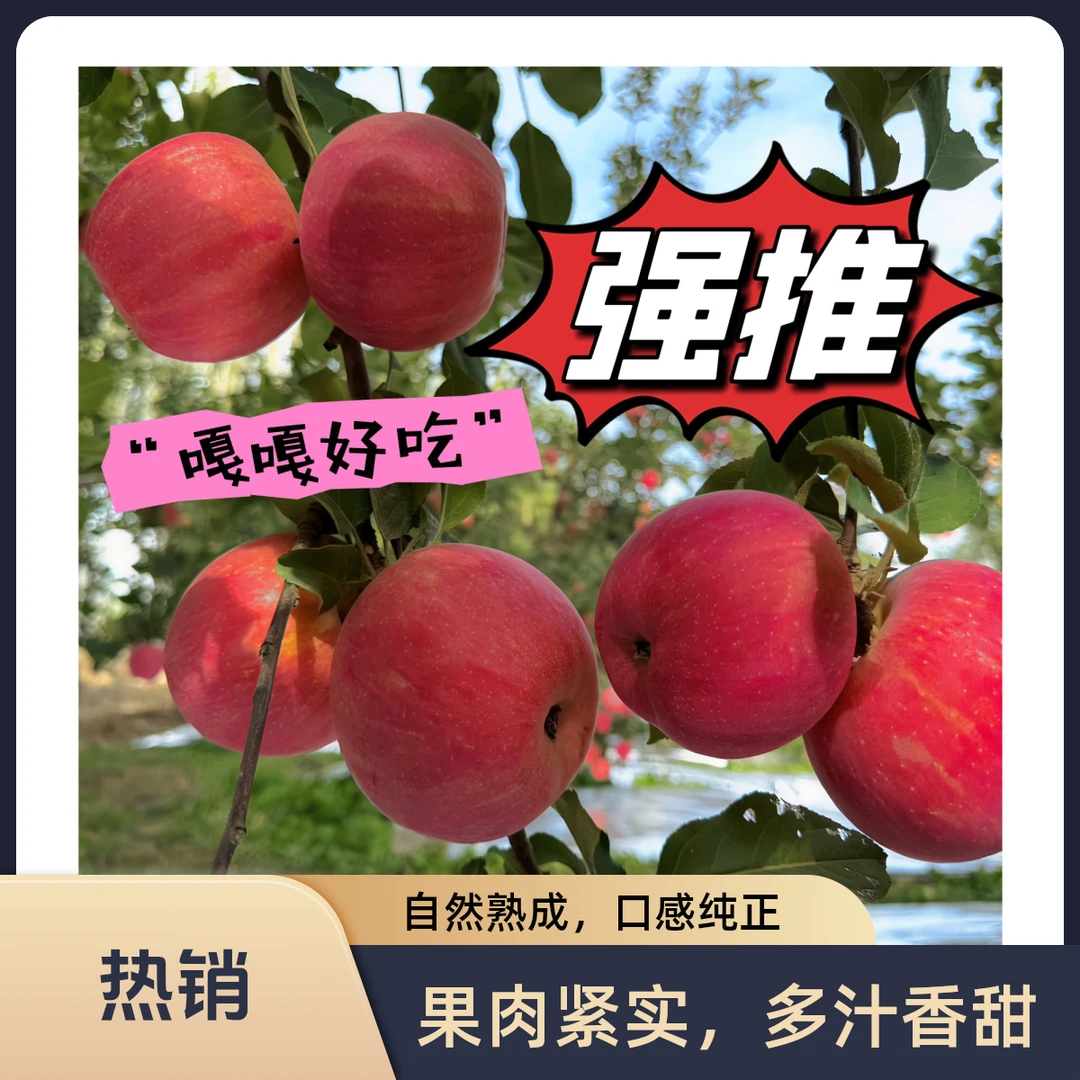 【阿克苏直发】脆甜新鲜冰糖心红富士苹果当季热销现摘现发5斤包邮