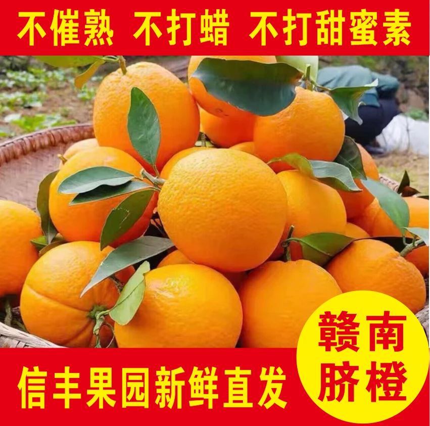 【周末特惠】正宗赣南信丰脐橙新鲜应季水果5/10斤包邮香甜皮薄果香