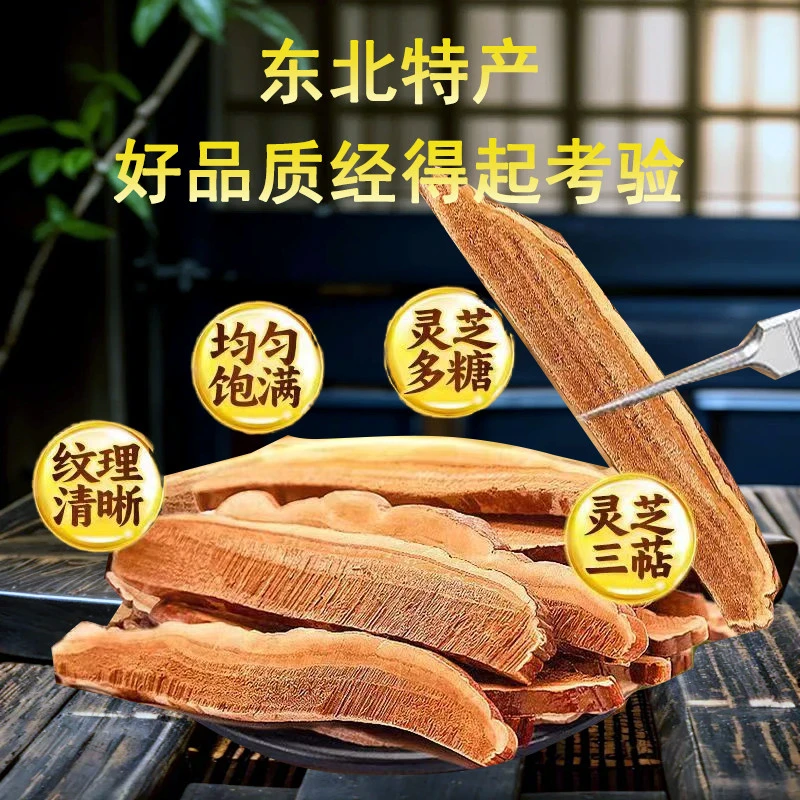 长白山原产地金边赤灵芝滋补泡酒煲汤打粉灵芝片泡茶送礼灵芝干货
