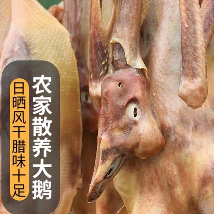 皖西白鹅东桥咸鹅5斤-9斤 净重2500g/只 安徽六安特产