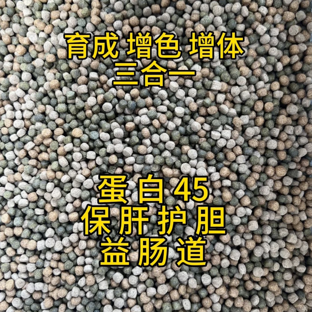 锦鲤观赏鱼饲料色扬增体育成三合一