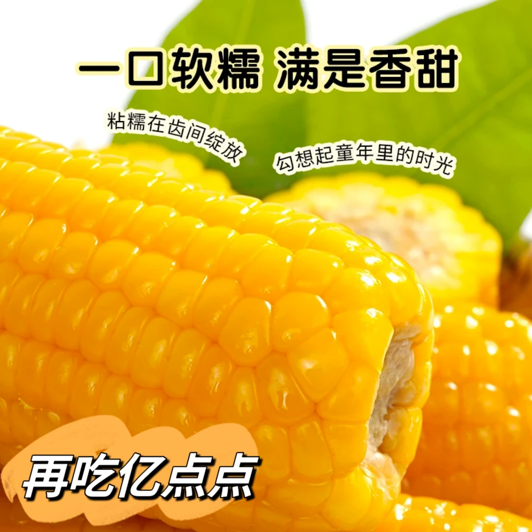 【8袋16支】东北黑土地新鲜采摘黄糯玉米*300g-380g饱满香甜好吃