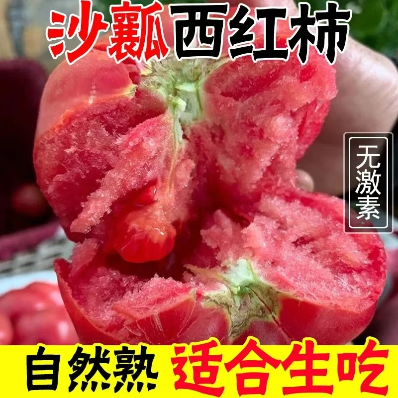 【回馈】云南高山沙瓤西红柿5斤露天种植自然熟现摘发菜番茄坏果赔