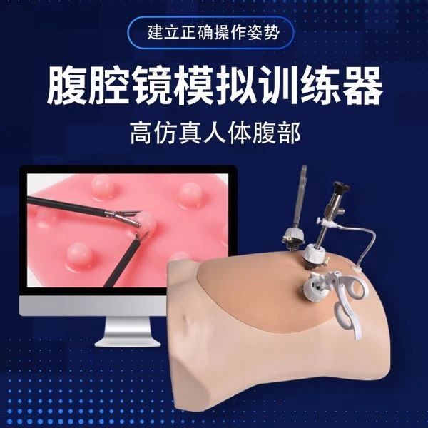 腹腔仿真模拟半身训练30度直杆内窥胸妇科生适用手术练习器模型