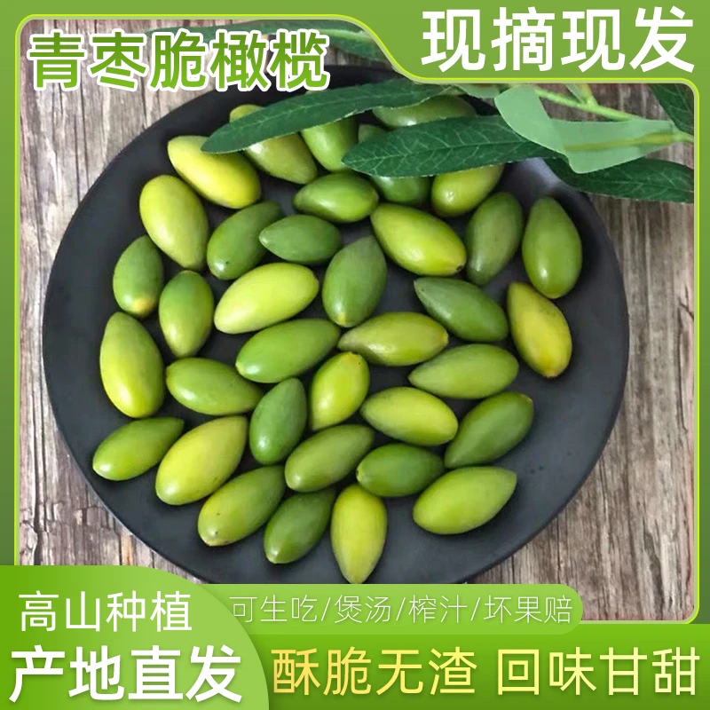 潮汕金灶正宗脆香橄榄  适合生吃煲汤泡酒  新鲜采摘 原味不甜