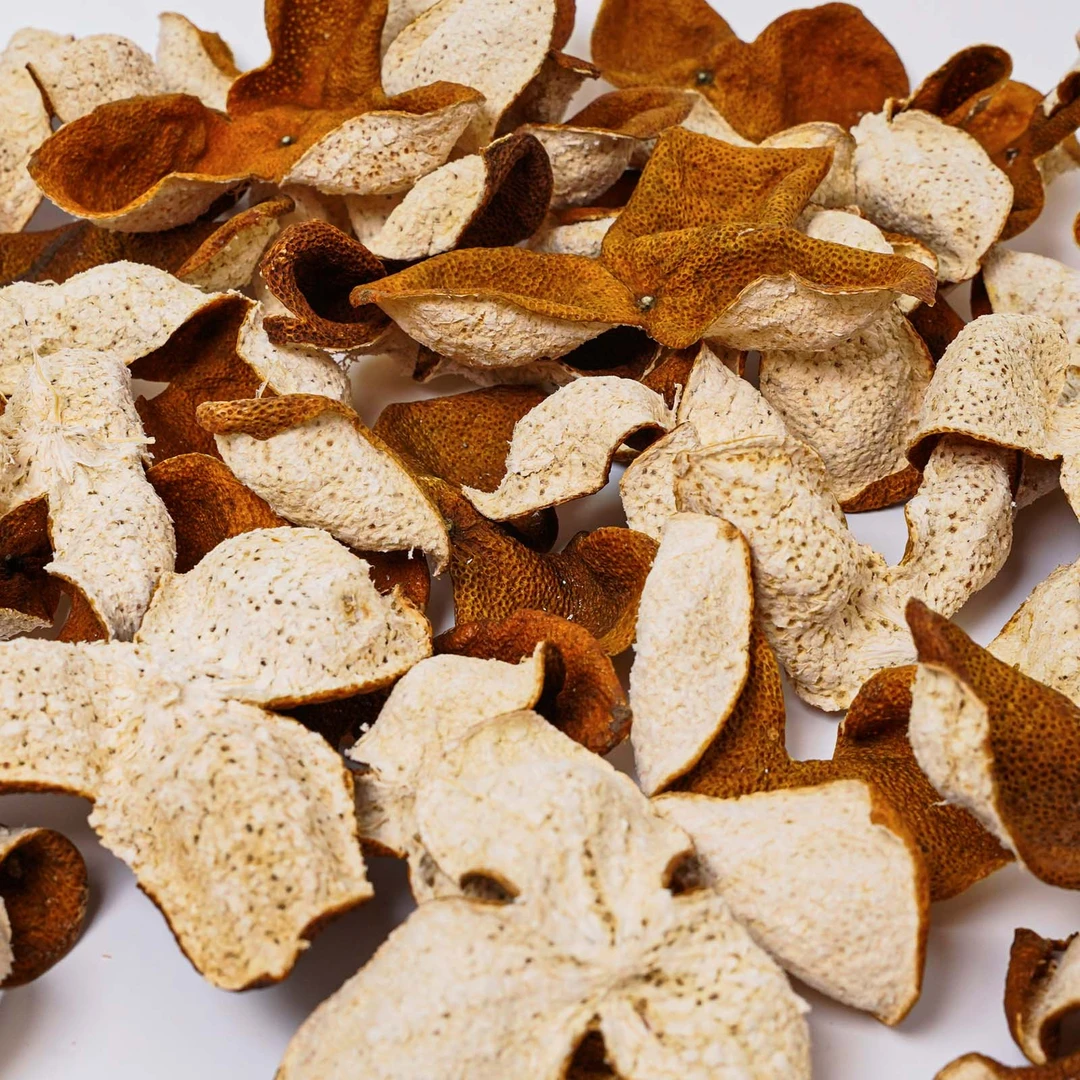 【现拍现开现晒】正宗新会2024天马大红皮