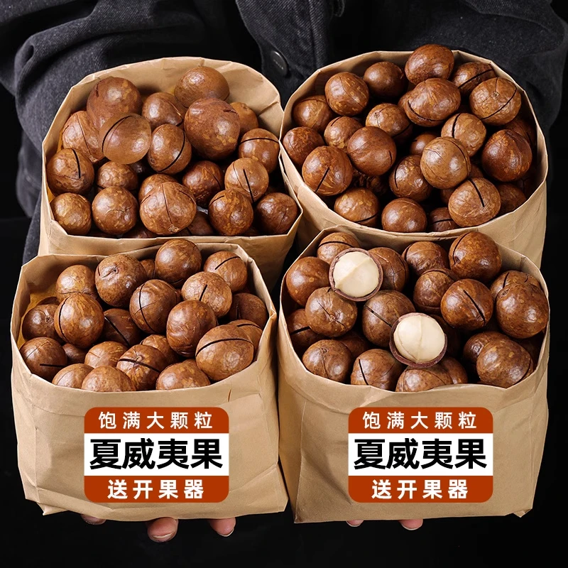 夏威夷果2023新货特大500g奶油味15g坚果干果孕妇零食送开口器