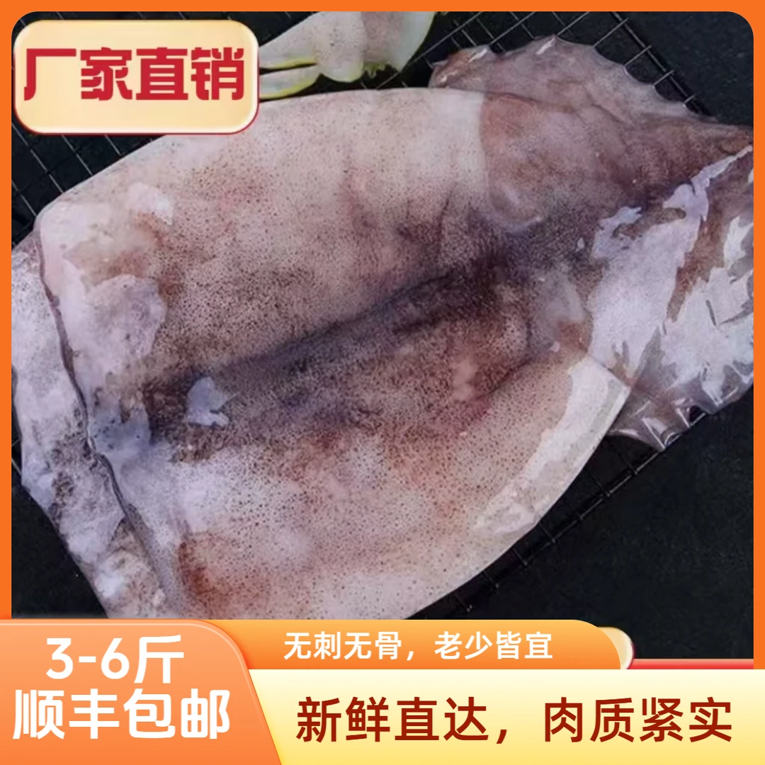 新鲜大鱿鱼去头去内脏白鱿鱼片鱿鱼身鲜鱿鱼片深海大鱿鱼3-6斤装
