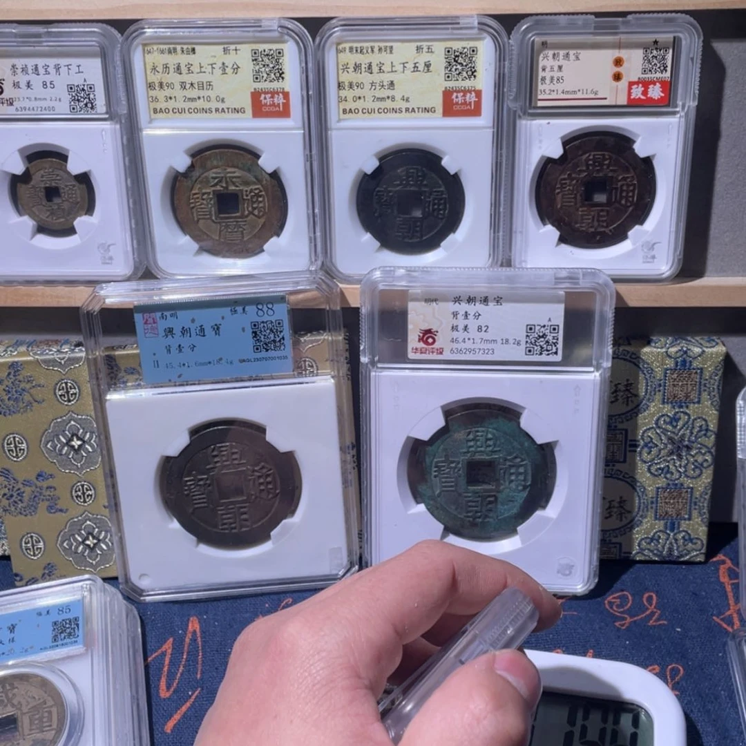 【闪购商品】小**帅兴朝