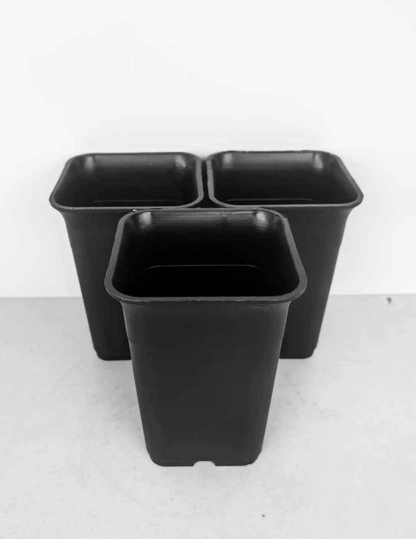 塑料万象盆景盆适合多肉仙人球等小型绿植花盆多肉花盆厂家直销