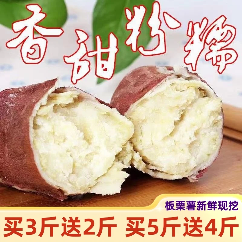 新鲜现挖白心红薯粉糯香甜干面老少皆宜番薯地瓜生吃营养板栗薯良