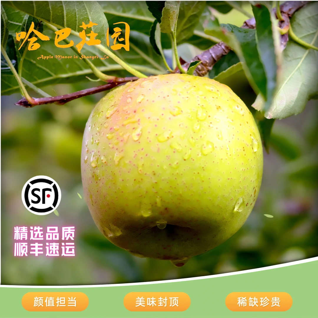 【顺丰】香格里拉哈巴庄园现摘请森王林青苹果当季新鲜苹果4斤清香