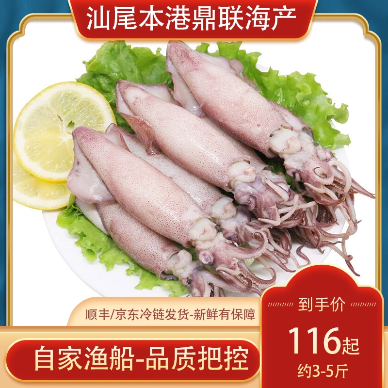 汕尾码头直发灯照活冻鱿鱼乌归一口鱿潮汕尼仔小眼鱿新鲜冷链包邮