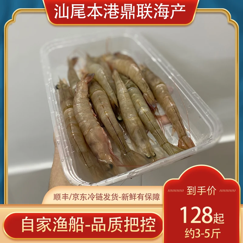 【汕尾本港发货】野生纯天然海捕卢虾沙虾麻虾顺丰省内包邮3斤5斤