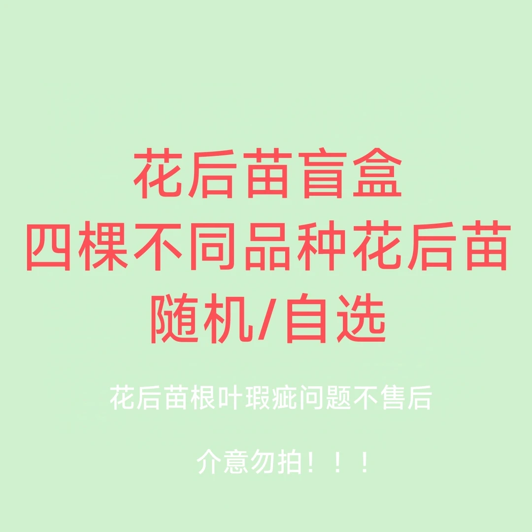 花后苗盲盒不售后，随机/自选，无标签，3.0/3.5寸杯
