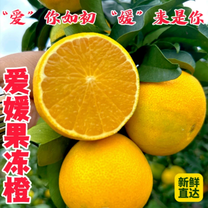 y四川眉山爱媛38号果冻橙皮薄肉嫩爆汁多甜柑橘净果5/8斤新鲜直发
