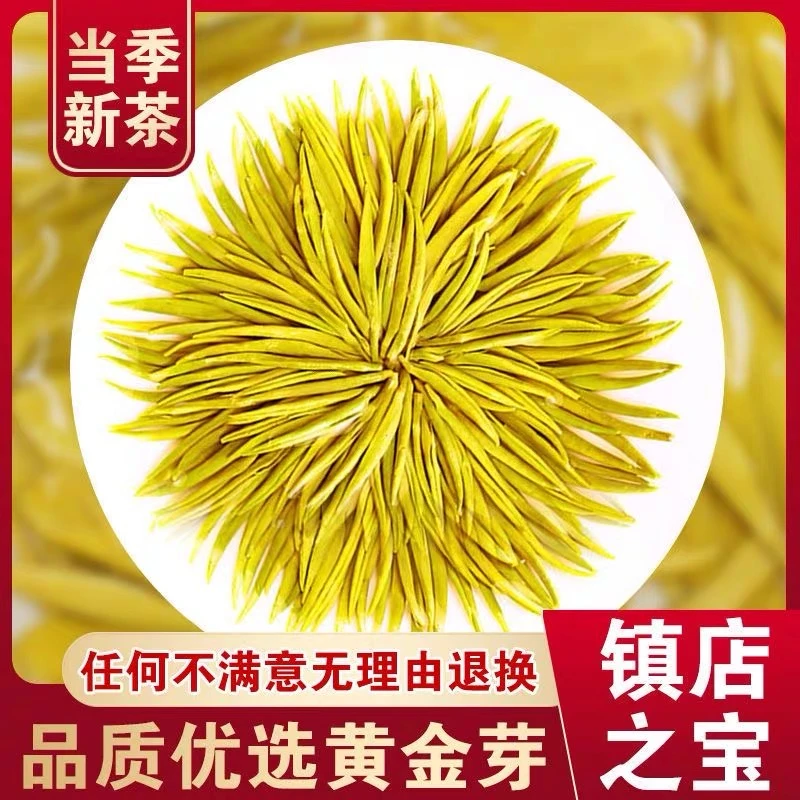 2025年热卖新茶高山黄金芽浓豆香鲜爽回甘