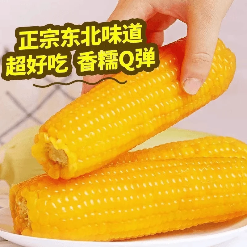 【试吃两支】头茬玉米东北丰收季真空甜黏苞米12支/箱5斤半试吃2根