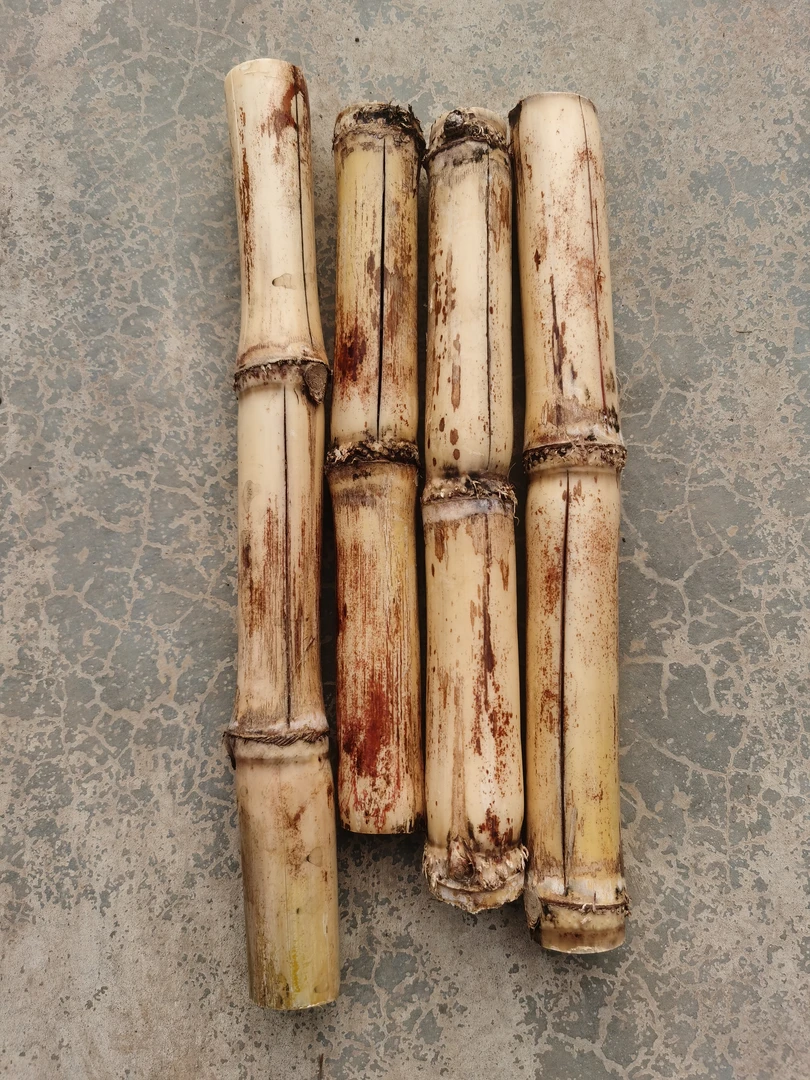 广西裂口白玉甘蔗5斤中段应季皮薄甘甜陶山新鲜清甜爽口多汁甜杆
