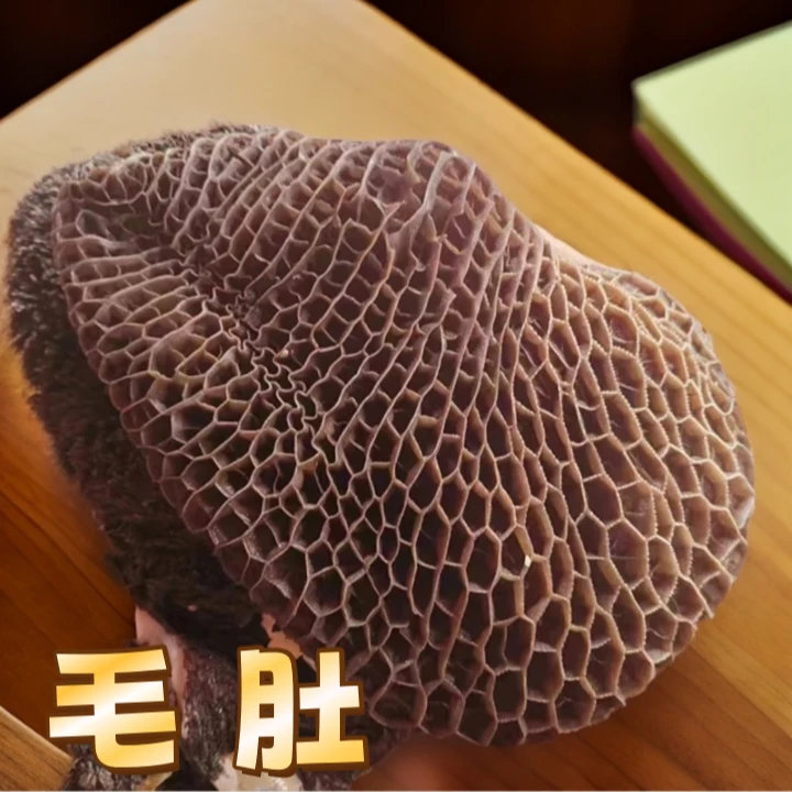 【村BA 新鲜牛肚】贵州正宗黔东南小黄牛现切新鲜牛肚好吃包邮