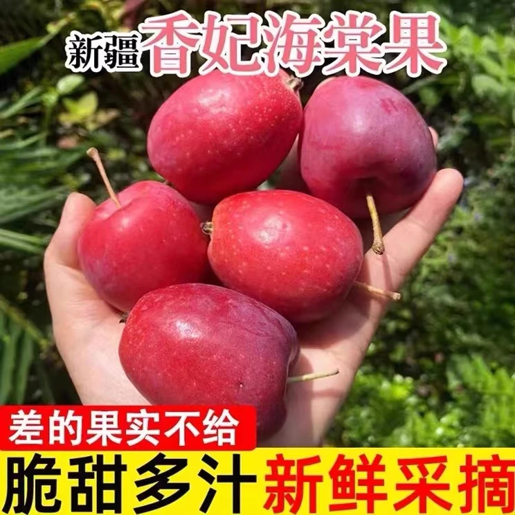 新疆直发 正宗香妃海棠脆甜多汁鸡心果 5斤 单果40-70mm 精品果