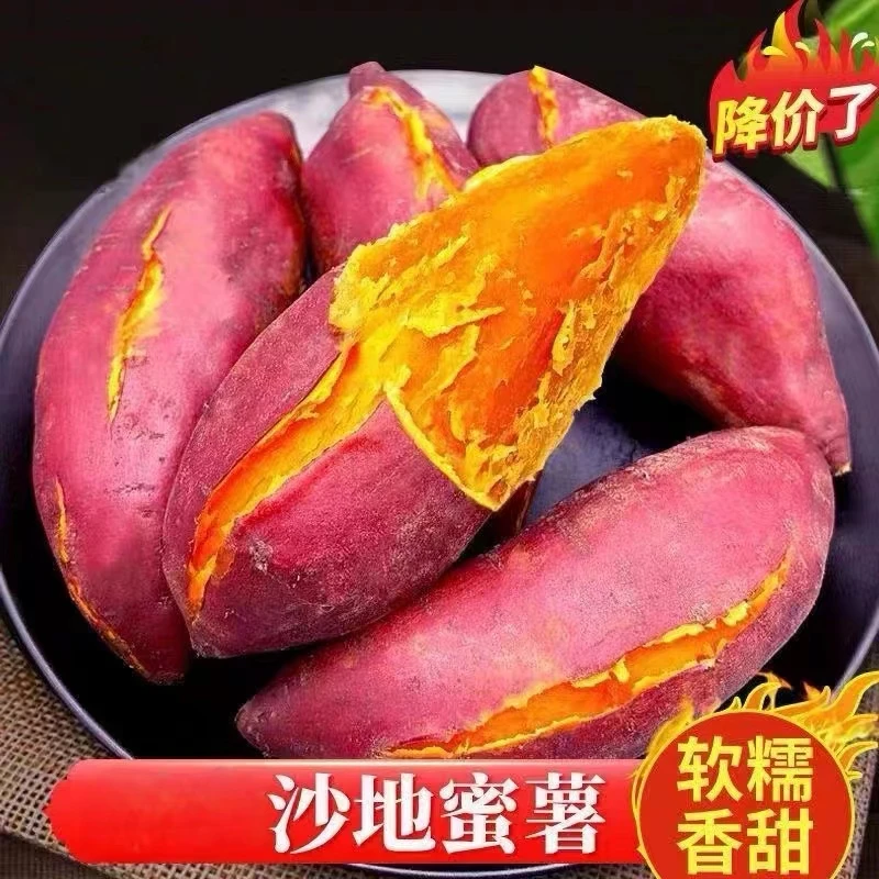 【抢购中】新鲜沙地红薯1-9斤黄心龙九蜜薯超甜番薯地板栗薯蔬菜