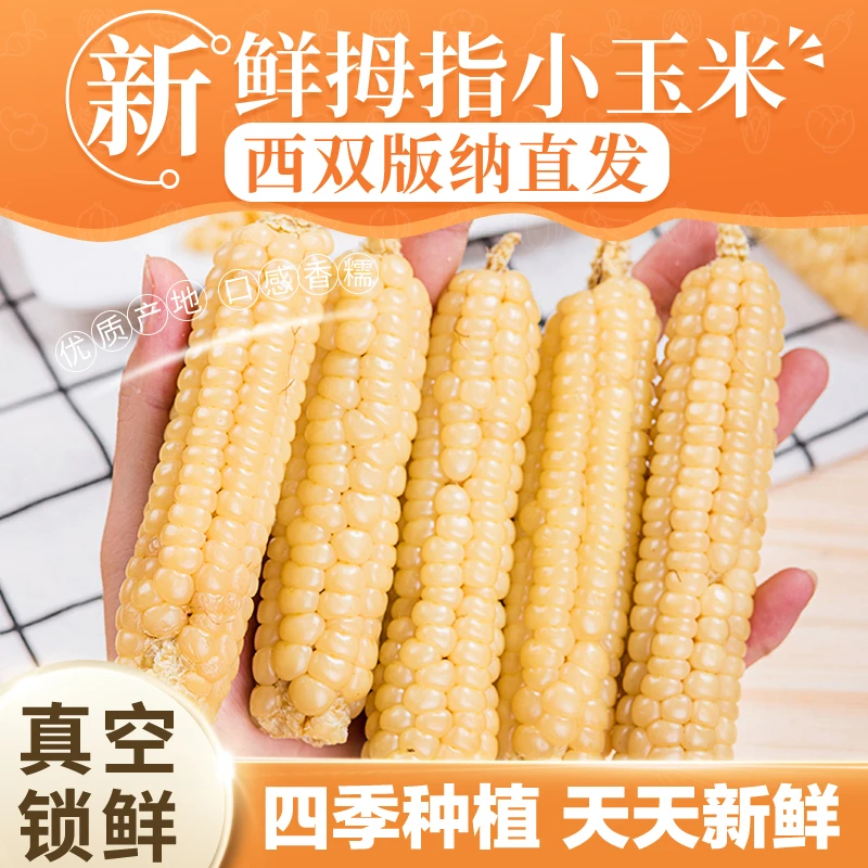 西双版纳拇指小玉米新鲜采摘营养好吃真空包装即食代餐拇指小玉米