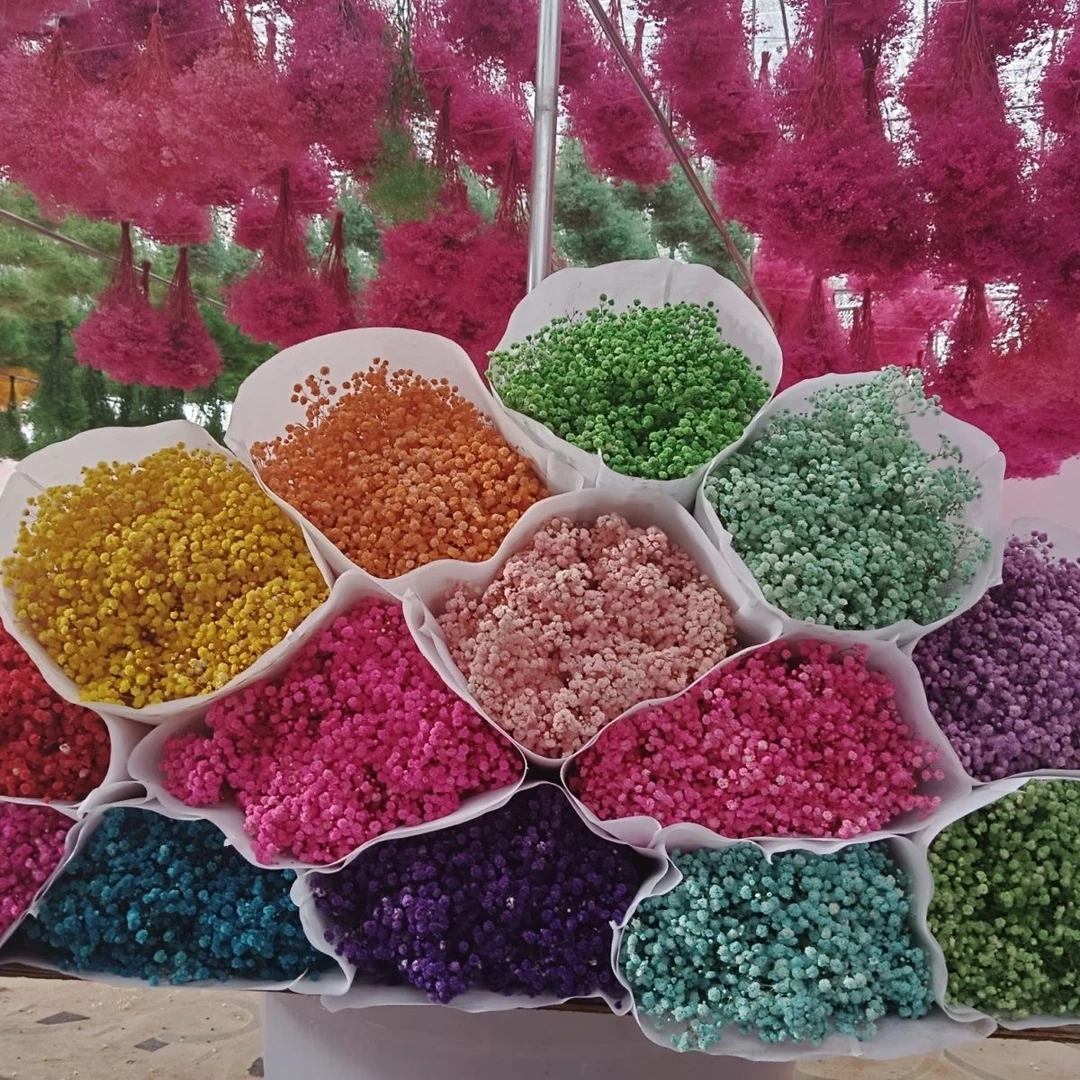 A级永生满天星永生花工厂直销DIY摆摊花材批发零售客厅装饰花材