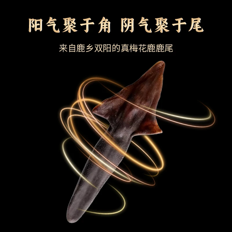 吉林鹿尾巴整只可切片干鹿尾