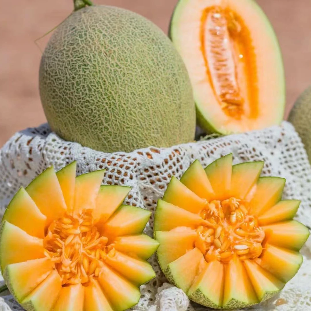 哈密瓜