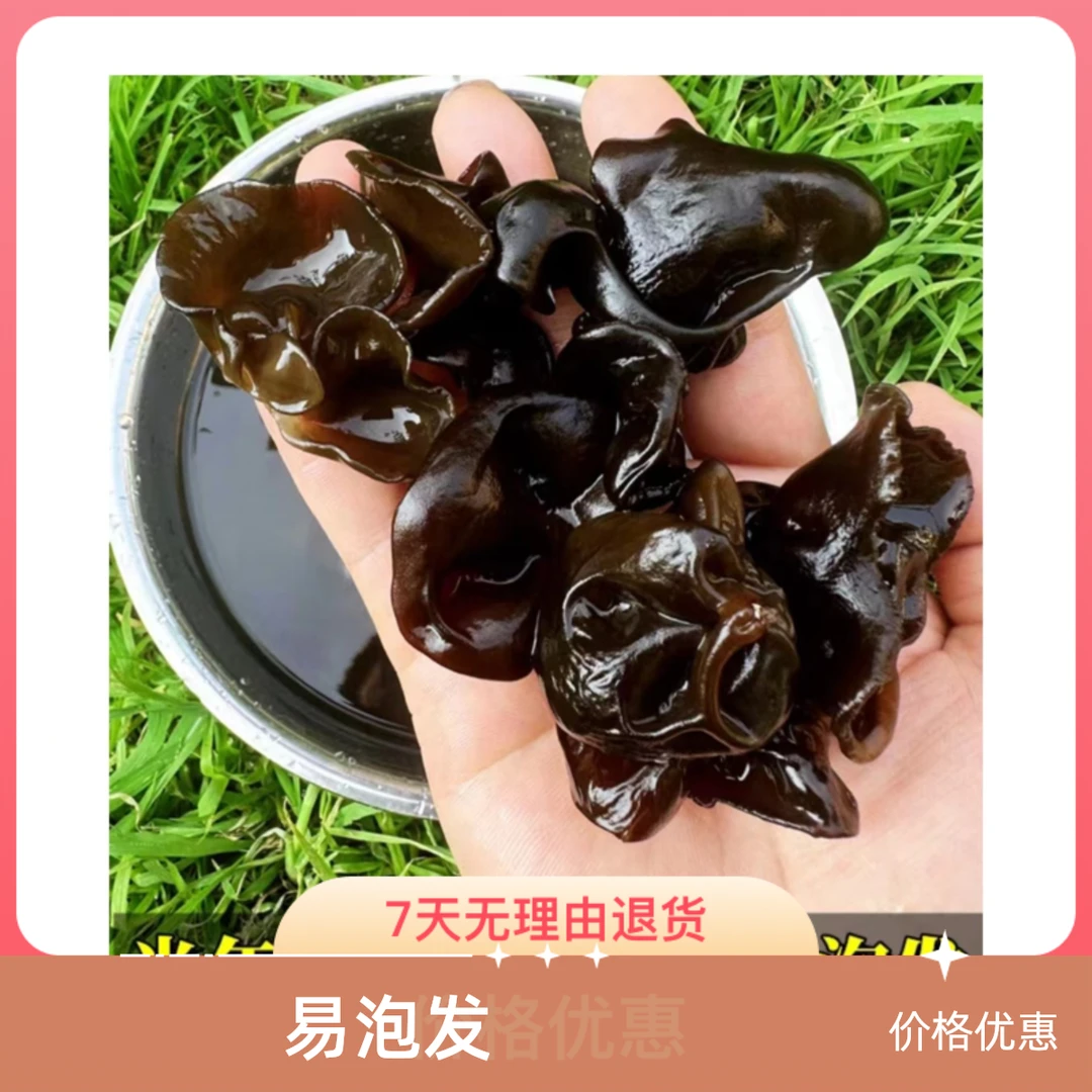 新货黑木耳干货散装250g包邮农家土特产营养干燥方便产地直发