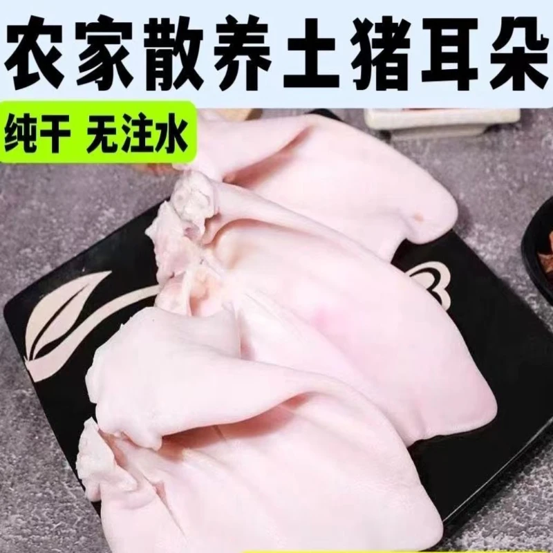 【超划算】新鲜猪耳朵片猪耳尖冻新鲜猪耳朵商用肉带根猪耳纯干货