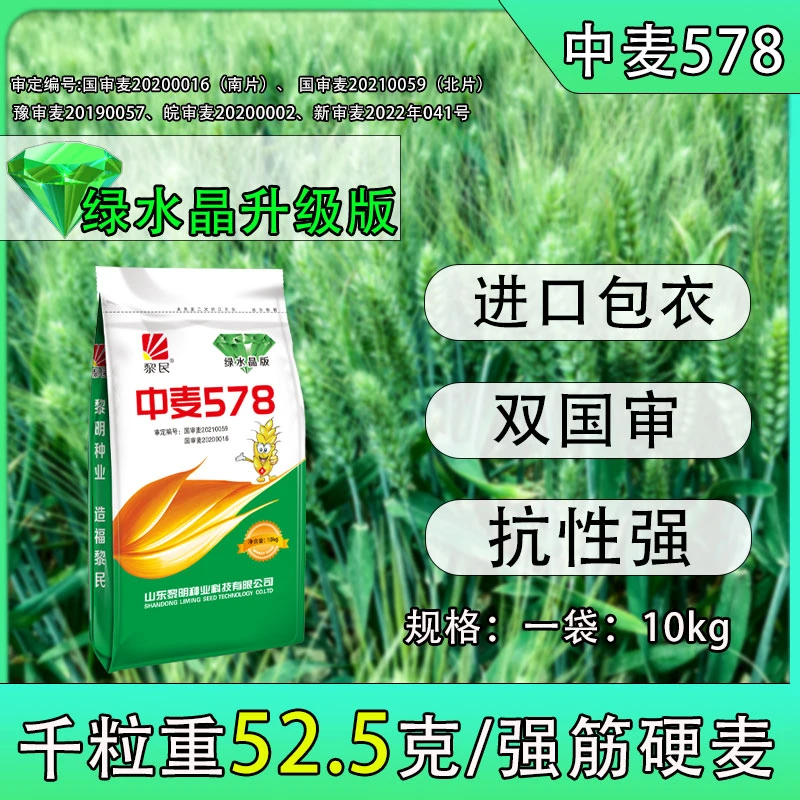 中麦578双国审8省通种高抗白粉叶锈黄花叶病毒病干热风小麦种子