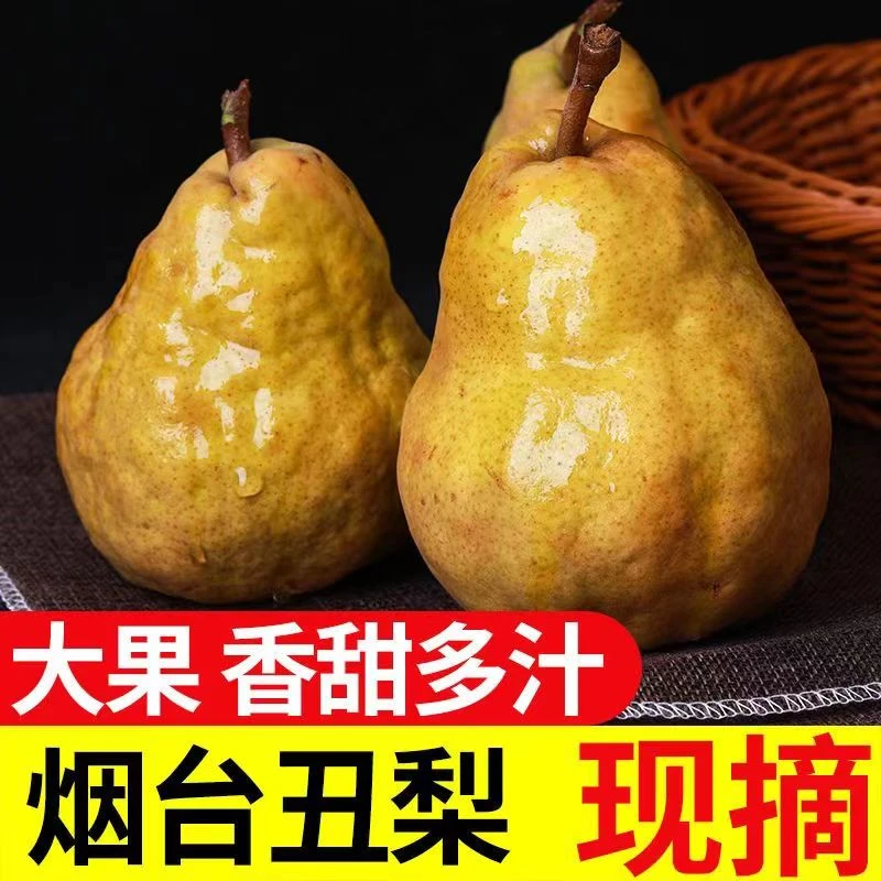 正宗山东烟台莱阳丑梨酥脆多汁软糯香甜冰淇淋口味美味啤梨子净重