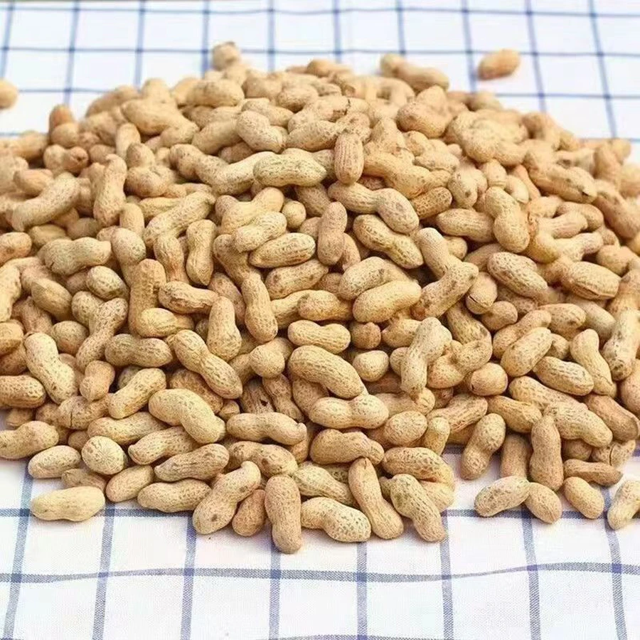 2024年带壳新花生晒干红花生农家土花生