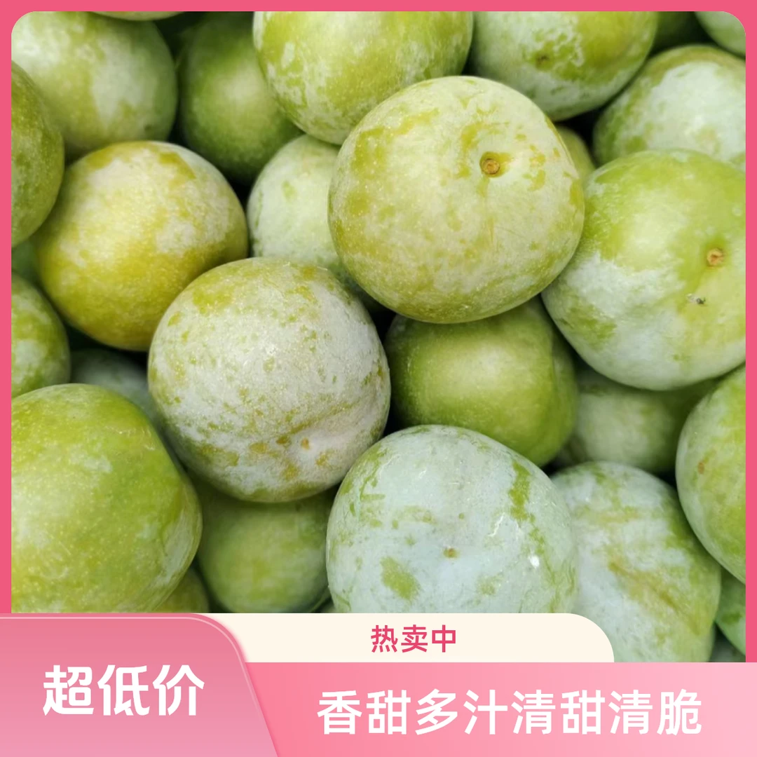 EMS空运包邮5斤产地重庆晚熟青脆李香甜多汁肉厚原生态坏果包赔