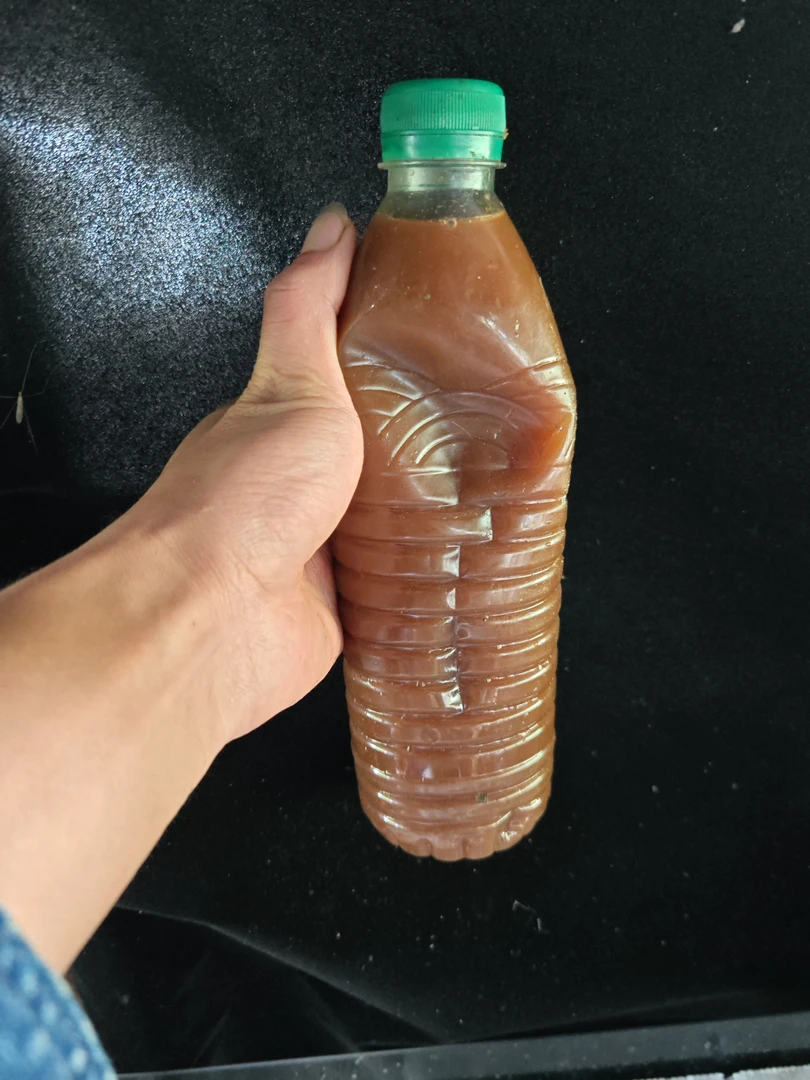 鱼蛋白和虾蛋白氨基酸。活鱼和活虾发酵