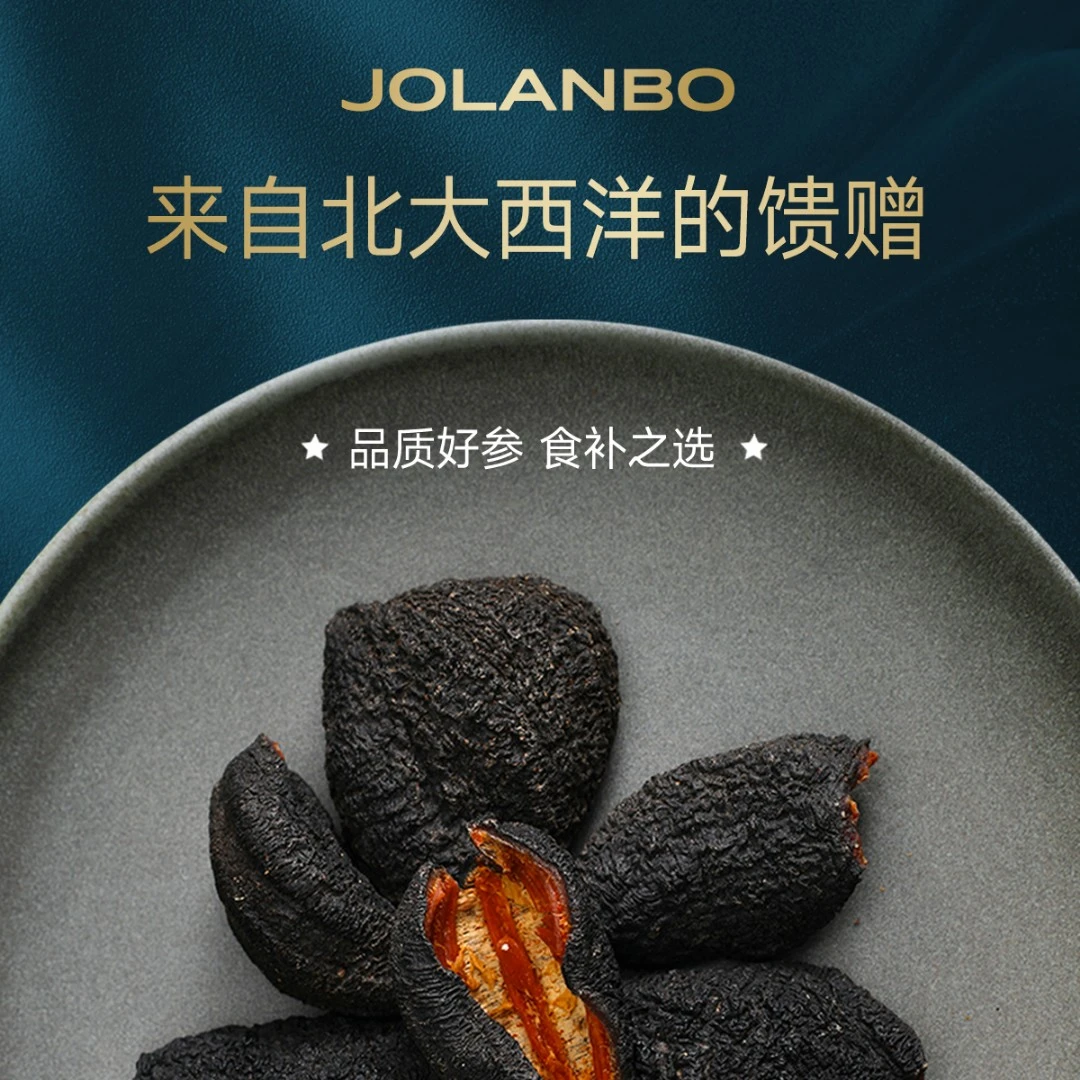 Jolanbo卓尔澜博加拿大野生海参淡干海参 一磅家庭经济实惠装