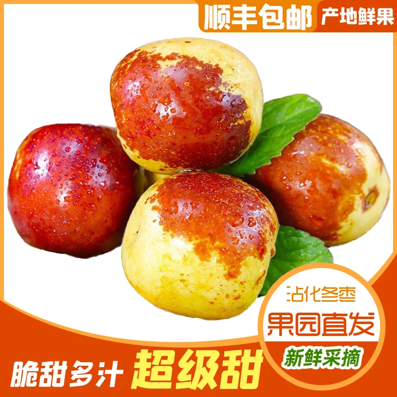 陕西大荔冬枣果园现摘现发生态孕妇水果新鲜鲜脆品质鲜枣发货包邮