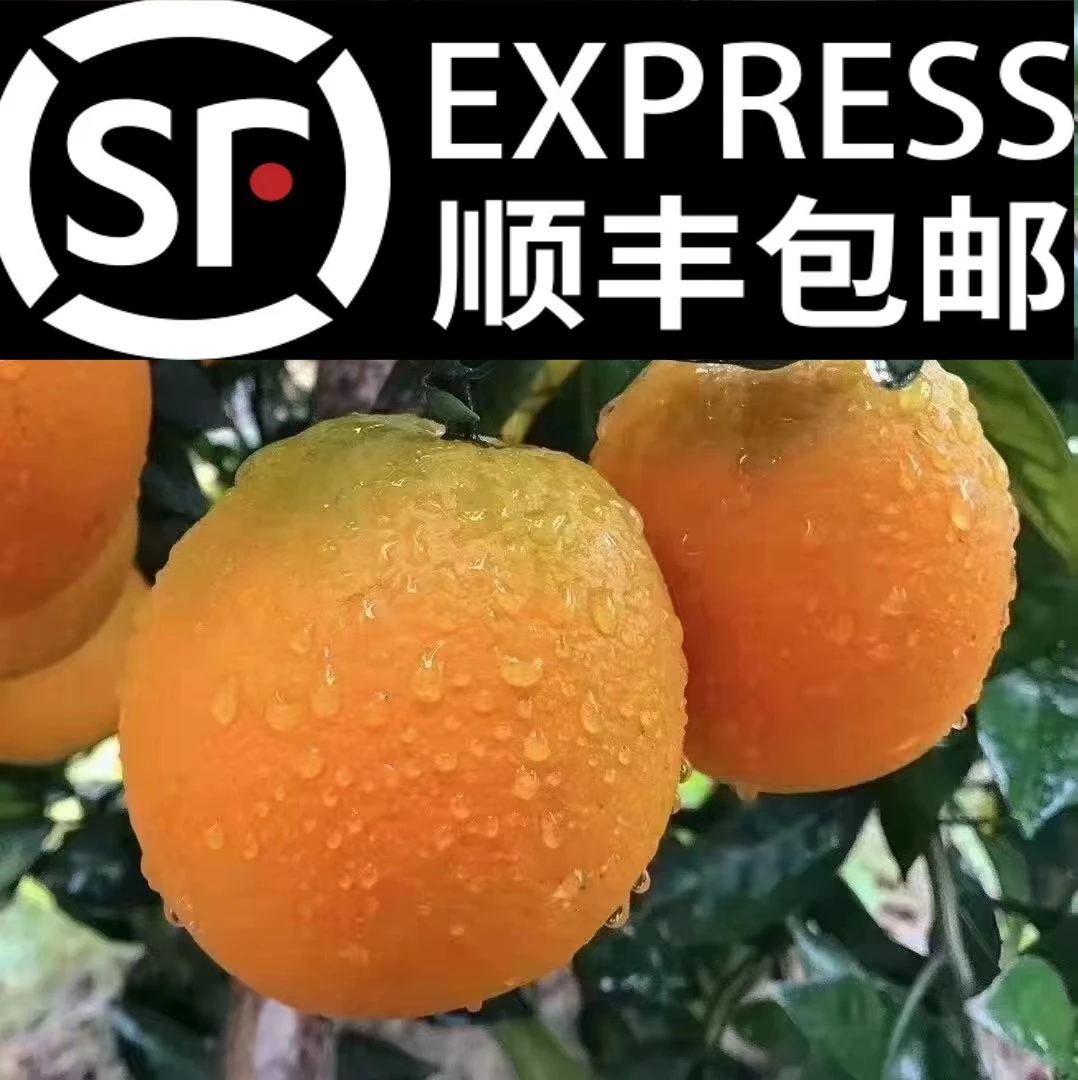 顺丰包邮-赣南脐橙江西橙子纽贺尔脐橙新鲜水果5/10/20斤包邮
