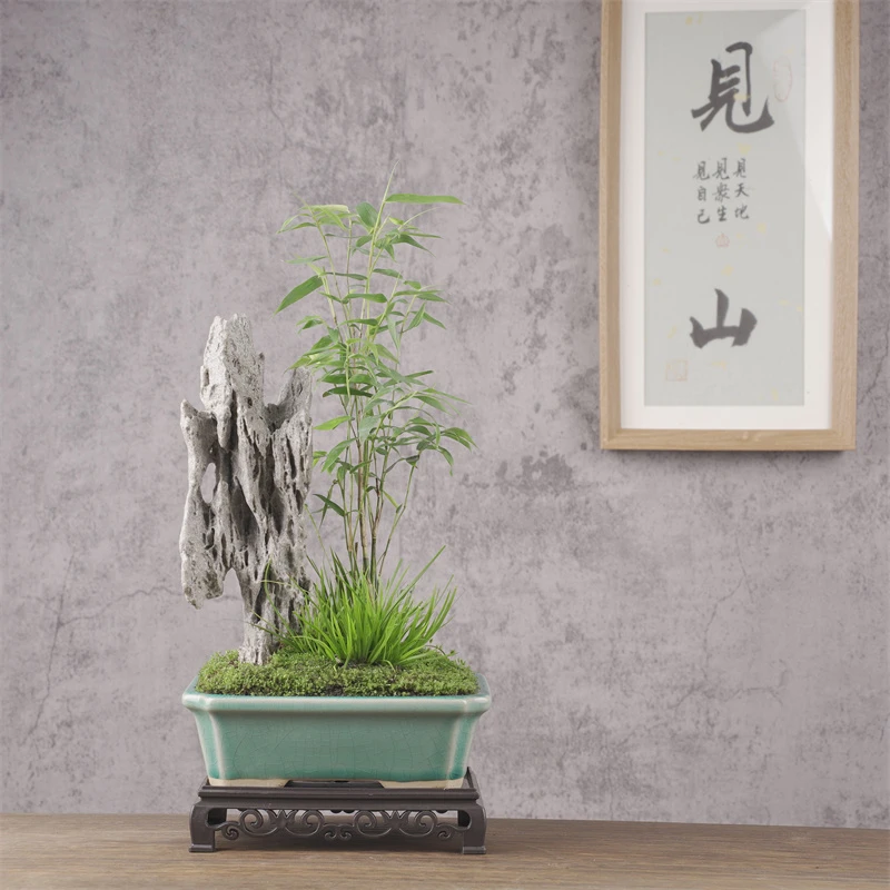 山有品126  英石附石竹子 BL16
